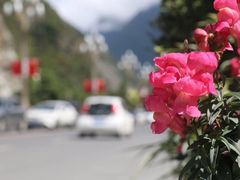 -康定跑马山风景区