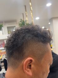 -YESIDO椰岛造型