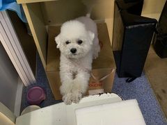 -天津前进宠物医院(前进道店)