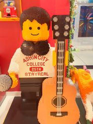 -乐高授权专卖店(西单大悦城店)