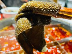 -黄家码头老火锅(解放碑旗舰店)
