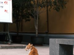 -龙华寺