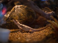 -长沙友阿奥特莱斯