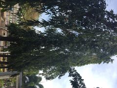 iphone_upload_pic-沙巴希迪特酒店