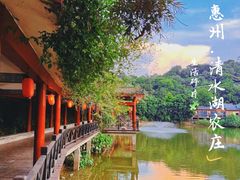 -清水湖度假村(罗浮山美食地标店)