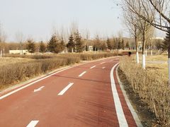 -丁香湖公园