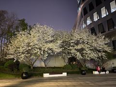 -玛格萝妮比萨屋(四平店)