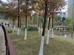 -沐仙湖湿地公园