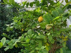 -中国农科院国家农业科技展示园