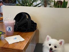 -小意思咖啡店(草桥店)