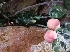 -游龙石文化科普馆
