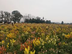 -白鹭湾湿地公园