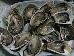 -日照海滨国家森林公园