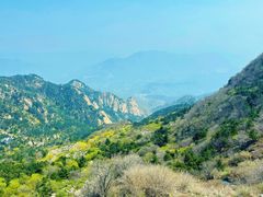 -泰山风景名胜区