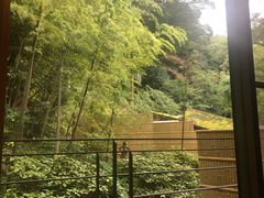 -有马温泉 竹取亭円山温泉旅馆