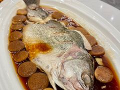 -鲜螺湾(鹏欣丽都店)