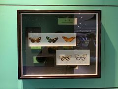 -上海昆虫博物馆