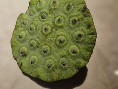 -芸山季·云南野生菌火锅(宝能环球汇店)