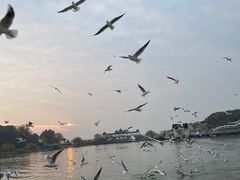 -无锡蠡湖国家湿地公园-蠡园
