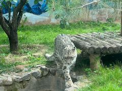 -青藏高原野生动物园