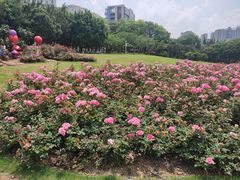 -深圳龙潭公园