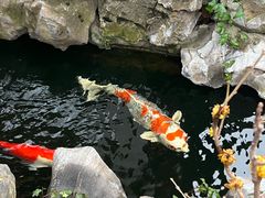-鲤院·新中式美学·庭院餐厅(夫子庙店)