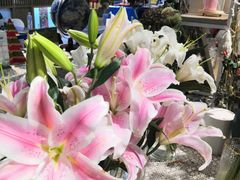 -Libra Flora花店(骆岗中央公园店)