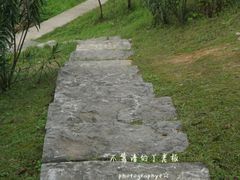 -滨江生态公园