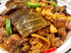 红烧生态甲鱼-西湖春天•老字号杭州菜(百汇店)