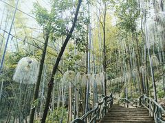 -石燕湖生态旅游景区
