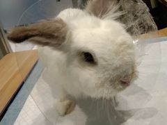 -雨林宠物医院 非犬猫异宠专科