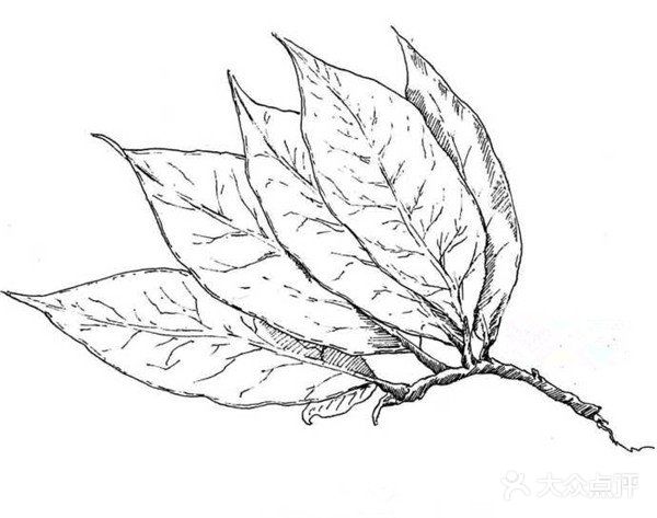 可供临摹的物体简笔画作品欣赏[礼花][礼花]