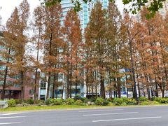 -徐家汇源景区-衡山公园