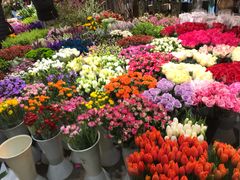 -双季花艺园艺市场(浦东店)