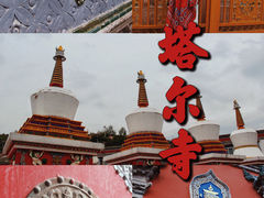 -塔尔寺