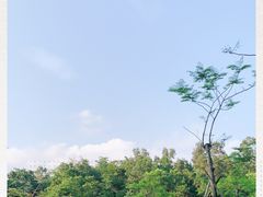 -中山市树木园