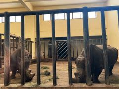 -石家庄市动物园