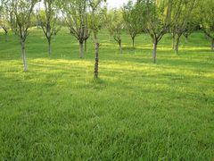 -白鹭湾湿地公园