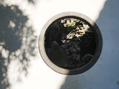 -个园