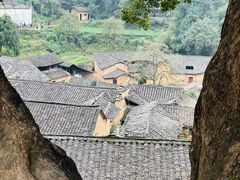 -杨家堂村