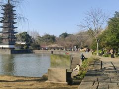 -上海方塔园