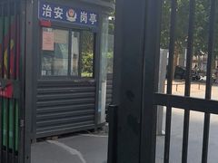 -极拉图·现制冰淇淋(大卫城店)