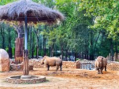 -北京野生动物园