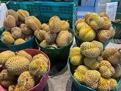 -曼阁市场水果批发市场