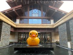 -光谷希尔顿酒店-厨意意大利餐厅(鸿雁路店)