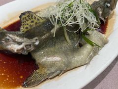 -四海酒家生态粤菜
