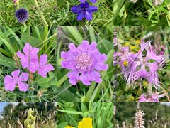 -白草畔自然风景区