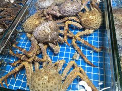 -船歌·鱼水饺青岛菜(金狮广场店)