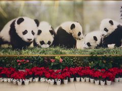 -成都驻京办餐厅(蜀都宾馆店)