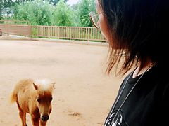 -北戴河集发农业梦想王国